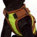 Greenday Avant Garde Harness