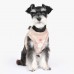 Pettorina Pinkaholic Celandine Vest Harness