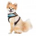 Pettorina Pettorine Puppia CRAYON HARNESS A