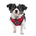 Pettorina Pettorine Puppia MISCHIEF HARNESS C