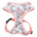 Pettorina Pinkaholic ZINNIA HARNESS