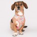 Pettorina Pinkaholic EVANTHE HARNESS