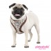 LEO PUG HARNESS 