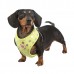 Pettorina Pinkaholic CHIC HARNESS