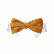 Valentino Bow Tie Gold