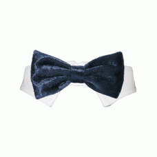 Valentino Bow Tie Blue