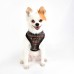 Pettorina Pettorine Puppia ELLIOTT HARNESS A 