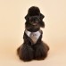 Pettorina Pettorine Puppia EVON HARNESS A 