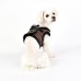 Pettorina Pettorine Puppia ELLIOTT HARNESS B