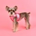 Pettorina Pettorine Puppia EVON HARNESS B 