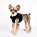 Pettorina Pettorine Puppia TERRY HARNESS B