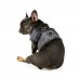 Pettorina Pettorine Puppia TERRY HARNESS B