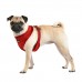 Pettorina Pettorine Puppia TERRY HARNESS A 