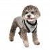 Pettorina Pettorine Puppia PUPPYTOOTH HARNESS A