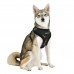 Pettorina Pettorine Puppia COLONEL HARNESS A