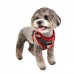 Pettorina Pettorine Puppia COLONEL HARNESS A