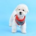 Pettorina Pettorine Puppia RACER HARNESS A