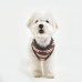 Pettorina Pettorine Puppia ROWDY HARNESS A