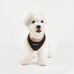 Pettorina Pettorine Puppia SOFT HARNESS II