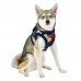 Pettorina Pettorine Puppia JOLLY HARNESS B