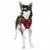 Pettorina Pettorine Puppia COLONEL HARNESS B