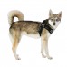 Pettorina Pettorine Puppia PUPPYTOOTH HARNESS X