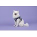 Pettorina Pettorine Puppia ELYSE HARNESS B