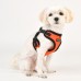 Pettorina Pettorine Puppia SOFT HARNESS C