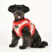 Pettorina Pettorine Puppia CHERYL HARNESS B