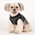 Pettorina Pettorine Puppia HEPATICA HARNESS B