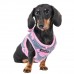 Pettorina Pettorine Puppia REN HARNESS B