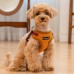 Pettorina Pettorine Puppia IRVIN HARNESS C