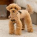 Pettorina Pettorine Puppia TERRY HARNESS H