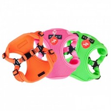 NEON SOFT HARNESS C