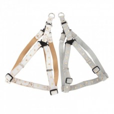 MODERN DOTTY HARNESS X