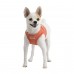 Pettorina Pettorine Puppia DOTTY HARNESS II B