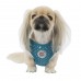 Pettorina Pettorine Puppia DOTTY HARNESS II C