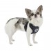 Pettorina Pettorine Puppia DOTTY HARNESS II C