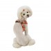 Pettorina Pettorine Puppia DOTTY HARNESS II C