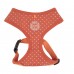 Pettorina Pettorine Puppia DOTTY HARNESS II A