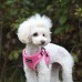 Pettorina Pettorine Puppia SOFT HARNESS C