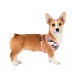 Pettorina Pettorine Puppia ENSIGN HARNESS A 