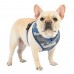 Pettorina Pettorine Puppia ENSIGN HARNESS A 