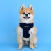 Pettorina Pettorine Puppia SOFT HARNESS C