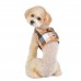 Pettorina Pettorine Puppia QUINN HARNESS B