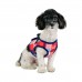 Pettorina Pettorine Puppia QUINN HARNESS B