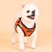 Pettorina Pettorine Puppia SOFT VEST HARNESS PRO