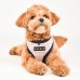 Pettorina Pettorine Puppia BLAKE HARNESS A