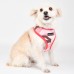 Pettorina Pettorine Puppia LANCE HARNESS A