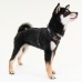 Pettorina Pettorine Puppia SOFT SUPERIOR HARNESS A